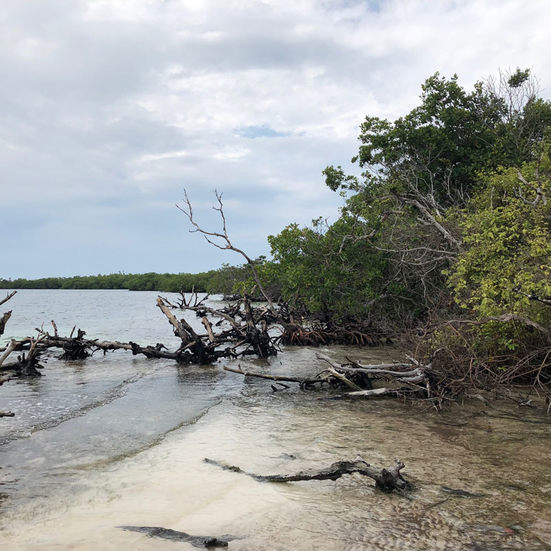 Bakers Rendezvous, Placencia, Belize $325,000 – Let's Buy An Island